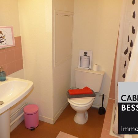 Location Appartement 1 pièce 17m² GRENOBLE 38000 - Photo 4