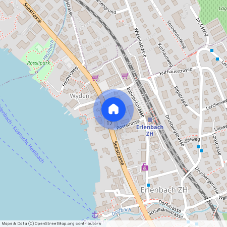 Seestrasse 39, 8703 Erlenbach