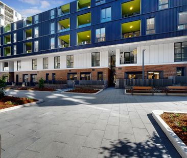 142/7 Letitia Street, Zetland NSW 2017 - Apartment For Rent | Domain - Photo 2