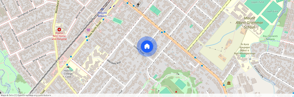 12 Ferner Ave, Mount Albert, Auckland City