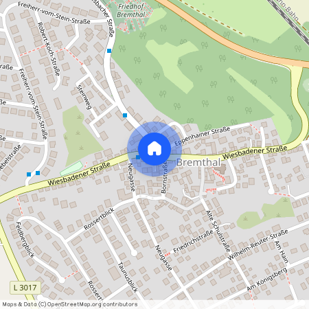 65817 Eppstein - Bremthal