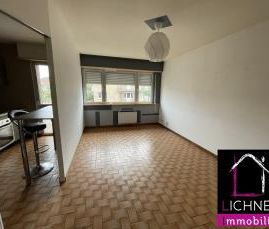 Location Appartement 2 pièces 50m² FREYMING MERLEBACH 57800 - Photo 4