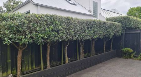 MODERN WARM TWO BEDROOM TOWNHOUSE - HEATPUMP - DOUBLE GARAGE - Photo 4