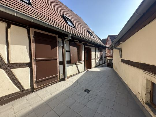 Duplex Dambach-la-Ville - Photo 1