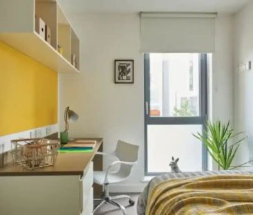 4 Bed Ensuite - Photo 6