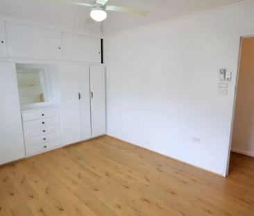143 Payne Street, Indooroopilly, QLD - Photo 4