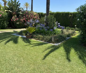 Marbella - Puerto Banus, Marbella, Andalusia 29602 - Photo 6