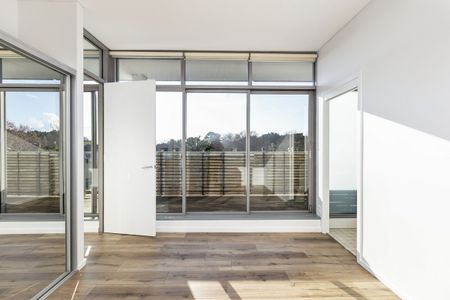 404/209 Albion Street, Surry Hills NSW 2010 - Apartment For Rent | Domain - Photo 3