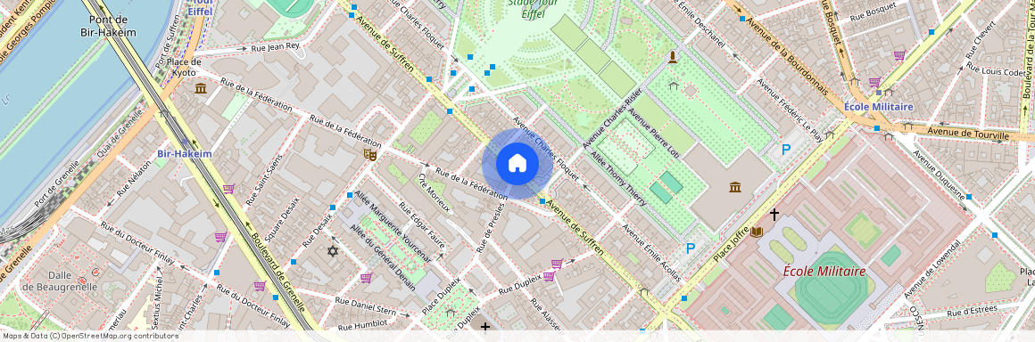 PARIS XV - Avenue de Suffren