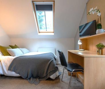 3 bedroom apartment to rent - Photo 4