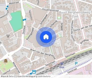 Oss Koningsloper 427 - Photo 1