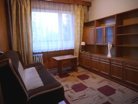 2 osobne pokoje w ścisłym Centrum od zaraz - Zdjęcie 2