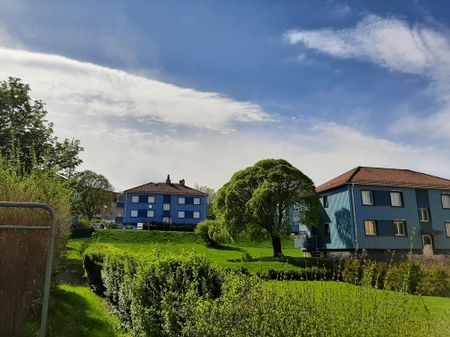 Ode Baltensgata, Kristinehamn - Foto 4
