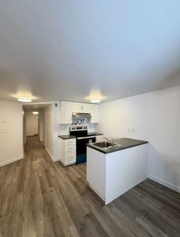 Nouveauté sur le marché Appartement à louer - Montréal (Mercier/Hochelaga-Maisonneuve) (Hochelaga-Maisonneuve) - Photo 4
