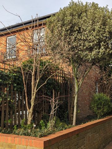 1 Bed Flat, West Norwood, SE27 - Photo 5