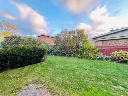 For Lease - 403 Denlow Avenue Unit# Basement, Hamilton, Ontario - Photo 3