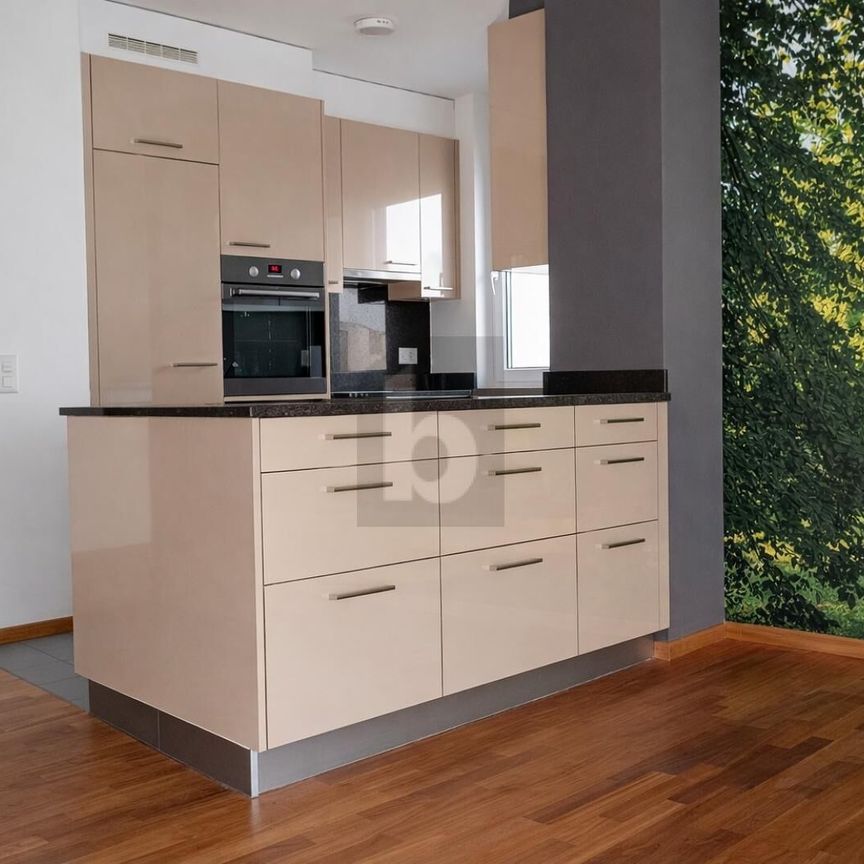 MODERN, ENSOLEILLÉ & VUE IMPRENABLE - Photo 1