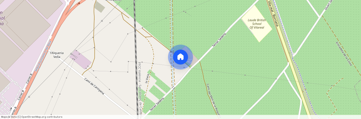 Cariñena - Carinyena, - Carrer Constitució