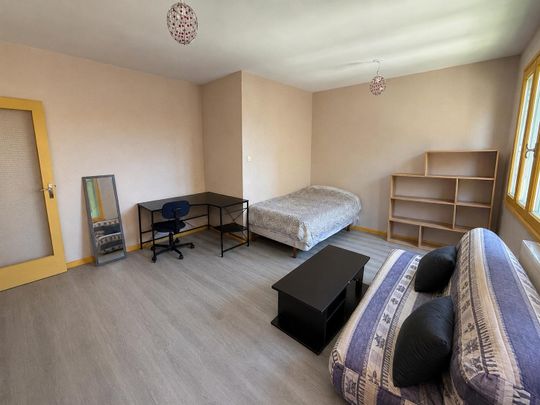 Location Appartement 1 pièce 29m² CLERMONT FERRAND 63000 - Photo 1
