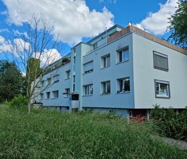 Ruhig gelegene 2.5-Zimmerwohnung zu vermieten - Photo 5