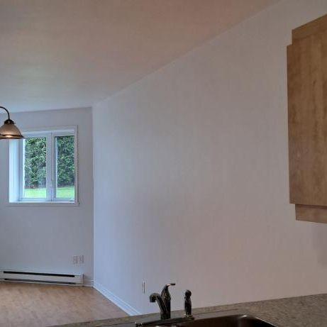4 ½ RENOVER, Saint-Eustache avec clientèle établi de 55+ ans - Photo 1