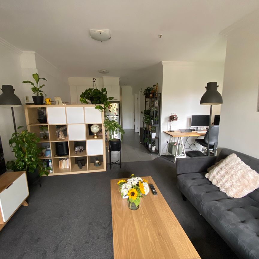 Caulfield East - Photo 1