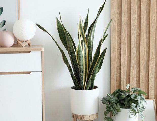 SUCHE 4-Zi-Whg (WUG/GUN) – berufstätige (ÖD), zuverl. Mieterin - Photo 1