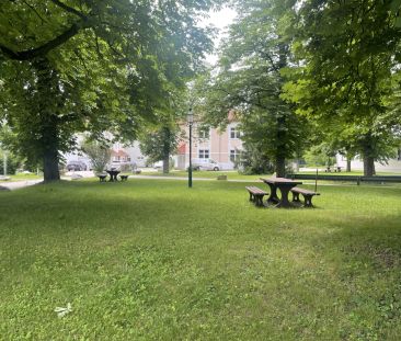 ERSTBEZUG nach RENOVIERUNG + TERRASSE! - Photo 3