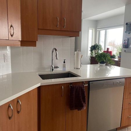 Condo haut de gamme - Photo 3