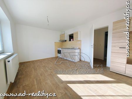 Pronájem bytu 1+1 44 m², Suchovrbenské nám., České Budějovice - Photo 3
