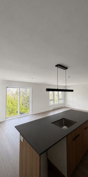 4 1/2 À LOUER - SAINTE-ADÈLE - Photo 2