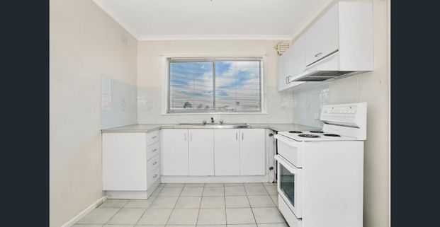 Light-Filled First-Floor Apartment - Photo 1