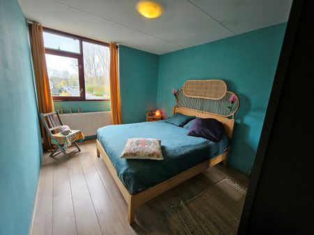 Wiardapad 47 - Foto 5