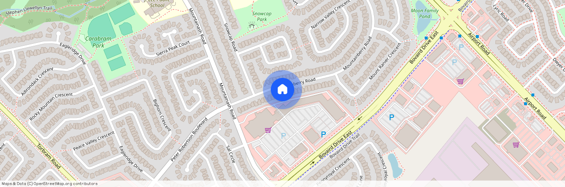 250 Mountainberry Road Unit# Basement, Brampton