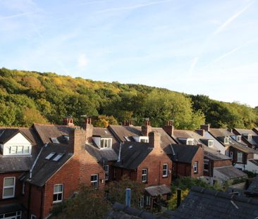 Frickley Road, Sheffield - Photo 3