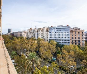 The Dillon - Photo 5