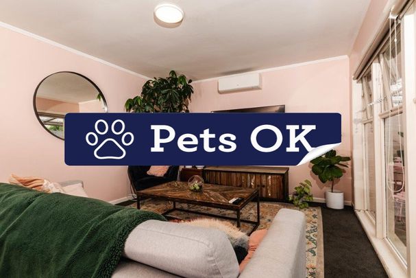 Little Gem in Onehunga - Photo 1