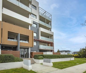 Sunny Top-Floor Apartment with Stunning Brindabella & Stromlo Views - Photo 3