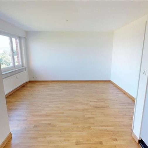 "Ruhige Wohnlage in Muttenz" - Photo 1