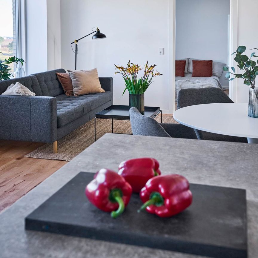 Lektorgaarden, Kollegievej - Photo 1