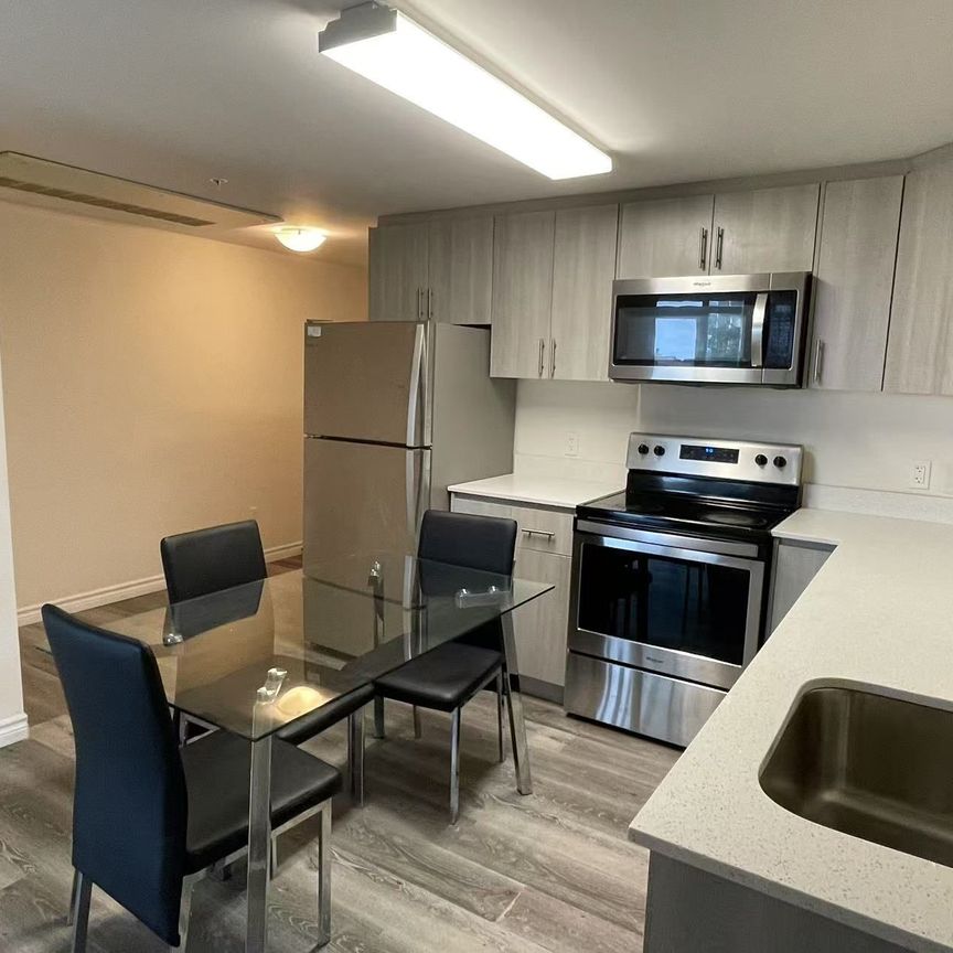 For Lease - 246 Lester Street Unit# 709 Bdrm, Waterloo, Ontario - Photo 1