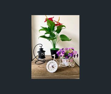 315 2 Scotsman Street, Glebe, NSW 2037 - Photo 4