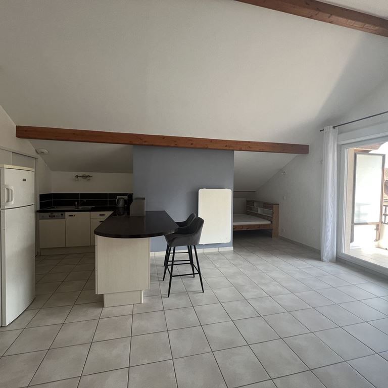 Appartement - VILLAZ - Photo 1