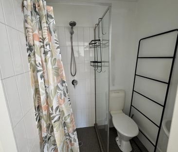 Furnished One Bedroom Unit - Photo 5