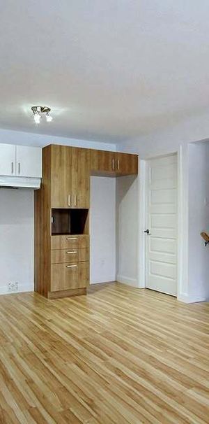 ⚠️ DISPONIBLE 1ER JUILLET ⚠️ - Photo 1