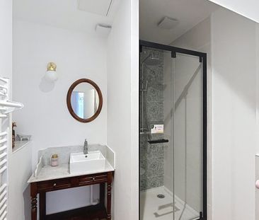 Location Appartement 1 pièce 38m² GAILLAC 81600 - Photo 3