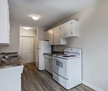 1 Bedroom - Photo 3