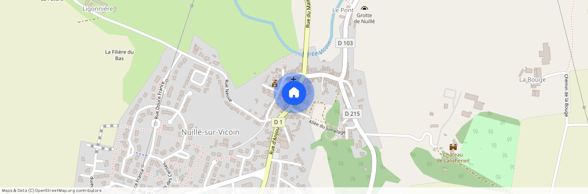 NUILLE SUR VICOIN - 53