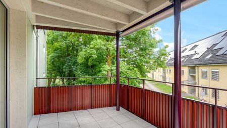 Auwi - Where Urban Meets Green - Foto 4