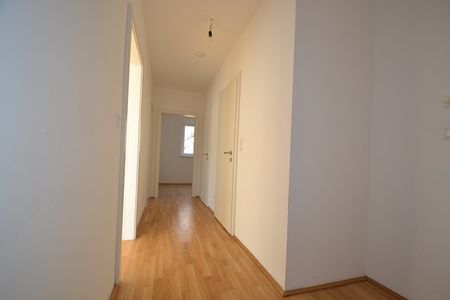 Ries – 53m² – 2 Zimmer Wohnung – Dachterrasse -inkl. TG Platz - Photo 5